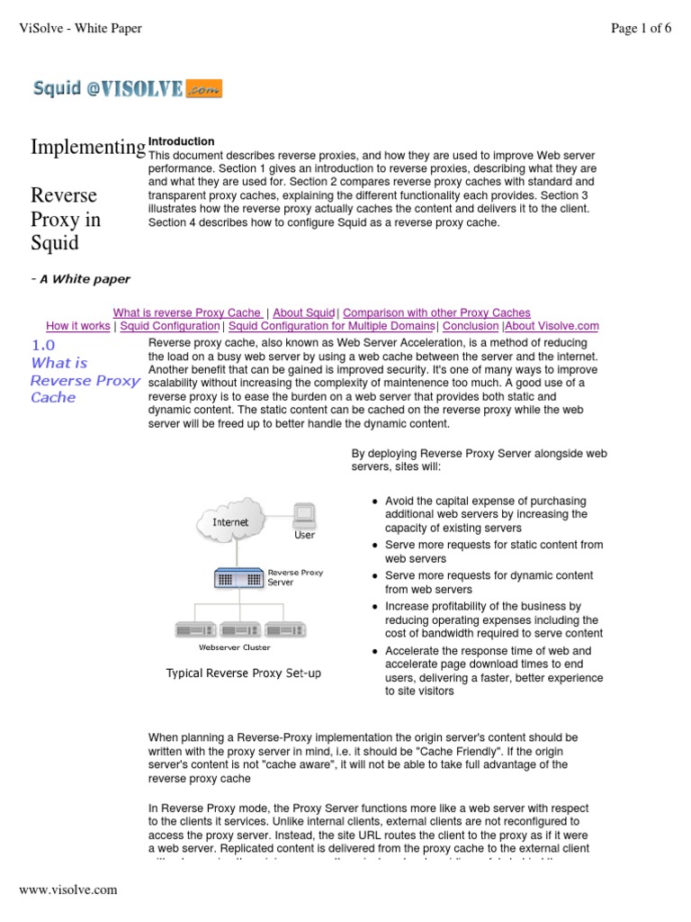 Implementing Reverse Proxy in Squid: Visolve - White Paper Page 1 of 6 ...