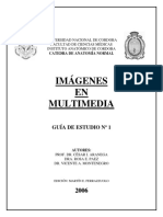 guia_craneoycara.pdf