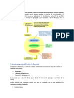 Etapas de La Cirugia