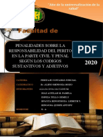 Penalidades Sobre La Responsabilidad Del Perito en La Parte Civil y Penal Sobre Los Codigos Sustantivos y Adjetivos