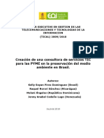 Consultoría PYMEs TIC ambiental Brasil