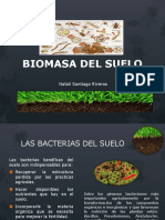 Biomasa Del Suelo