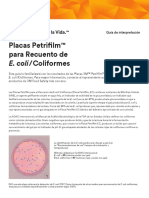 3M Petrifilm EC Guía de Interpretación.pdf