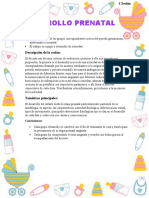 desarrollo1.docx