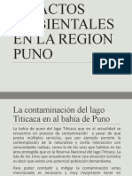 diapositovas - impactos en la region Puno.pptx