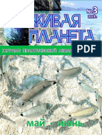 Живая планета 2019-03 PDF