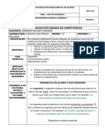 Modulo Integrado 10° Grado PDF