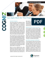 Can Agile Work For This Project PDF