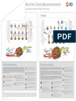 Dual Role of Immune Cells in the Tumor Microenvironment.pdf