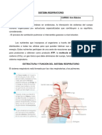 SISTEMA RESPIRATORIO 