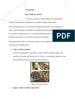Manual de Biohuerto-Desarrollo Sostenible