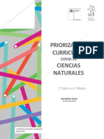 Priorización curricular.pdf