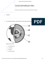 Prueba 7mo Básico Dinamica Terrestre