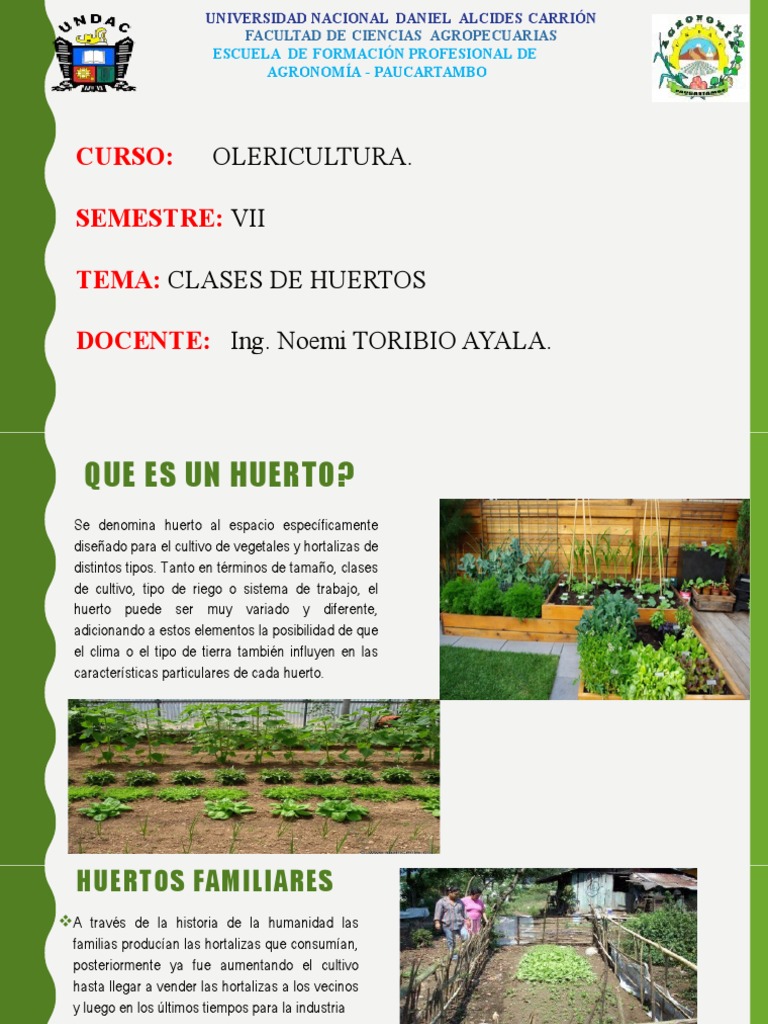 Clases de Huerto de Hortalizas | PDF | Huerta | Compost, image size:768x1024