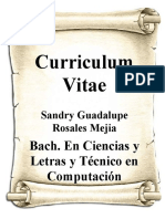 Curriculum Vitae Con Pedrcamino