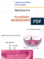 Practica 8 Placenta Micro