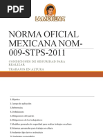 Nom 020 STPS 1994 | PDF | Primeros auxilios | México