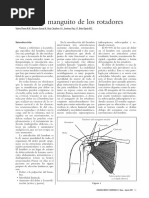 Anatomía de los rotadores externos del hombro | PDF | Hombro | Articulación
