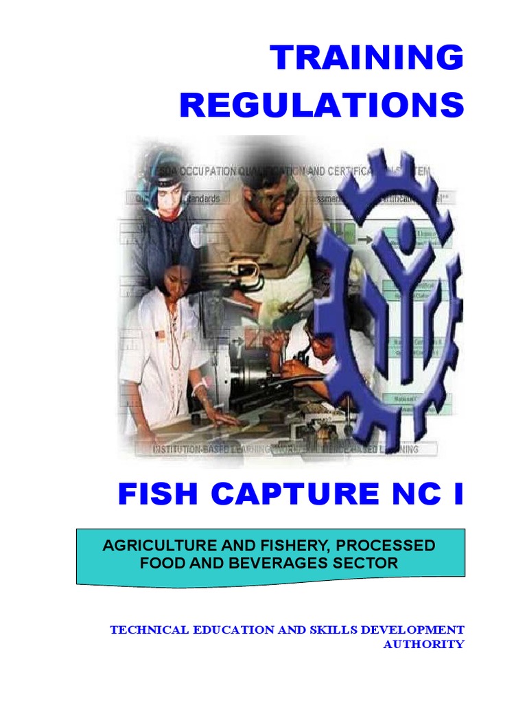 Fish Capture NC I Training Regulations | PDF | Competence (Human ...