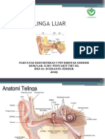 ANATOMITELINGA