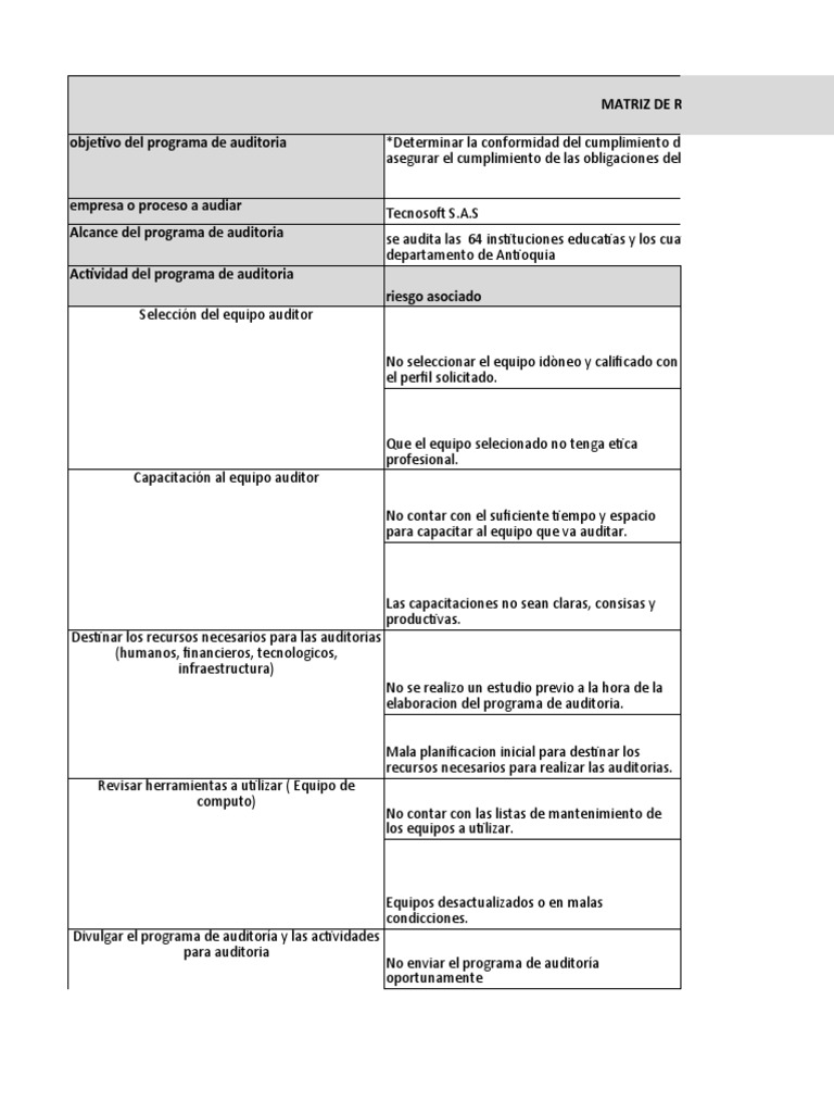 Matriz de Riesgos en Auditoría Interna | PDF | Auditoría | Software