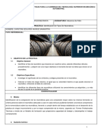 Unidad 2 - Practica 1 Tipos de Neumáticos