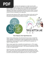 Three Elements of The Triple Bottom Line