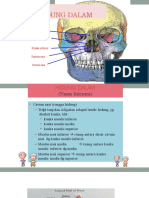 Hidung Dalam