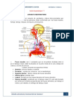 Sesion N°7-ANATOMIA