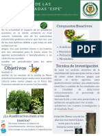 Poster Del Proyecto Integrador PDF