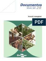 Acacia Mangium: ISSN 1517-3135 Dezembro, 2003