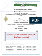 Ms Tel Feroui PDF