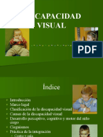 Discapacidad Visual