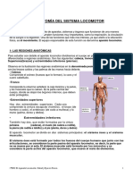 El Aparato Locomotor.Salud y Ejerccio Físico.pdf