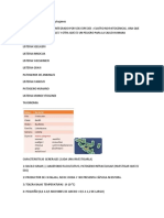 Información listeria monocytogenes