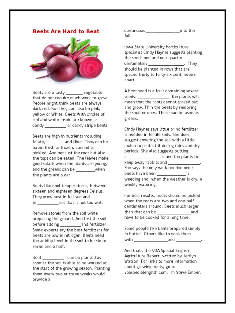 Growing Beets: Tips and Techniques | PDF | Beetroot | Soil