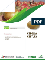 Ficha Cebolla Century PDF