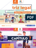 Matriz Legal SST Comercio Capitulo7 PDF