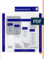 C&P Lifecycle Process Flow Chart.pptx