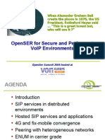 Openser For Secure and Performant Voip Environments