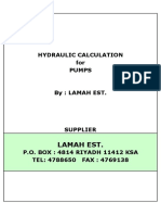 Hydraulic calculation for pumps