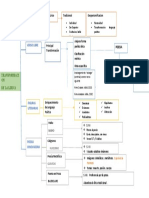 Esquema Transformacion de La Lirica.