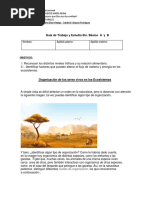 Guia 6 Sextos Basicos Ciencias Naturales