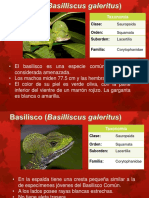 Taxonomía de reptiles y anfibios