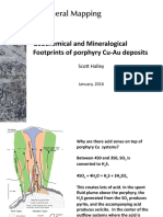 Geochemical and Mineralogical Foothprints