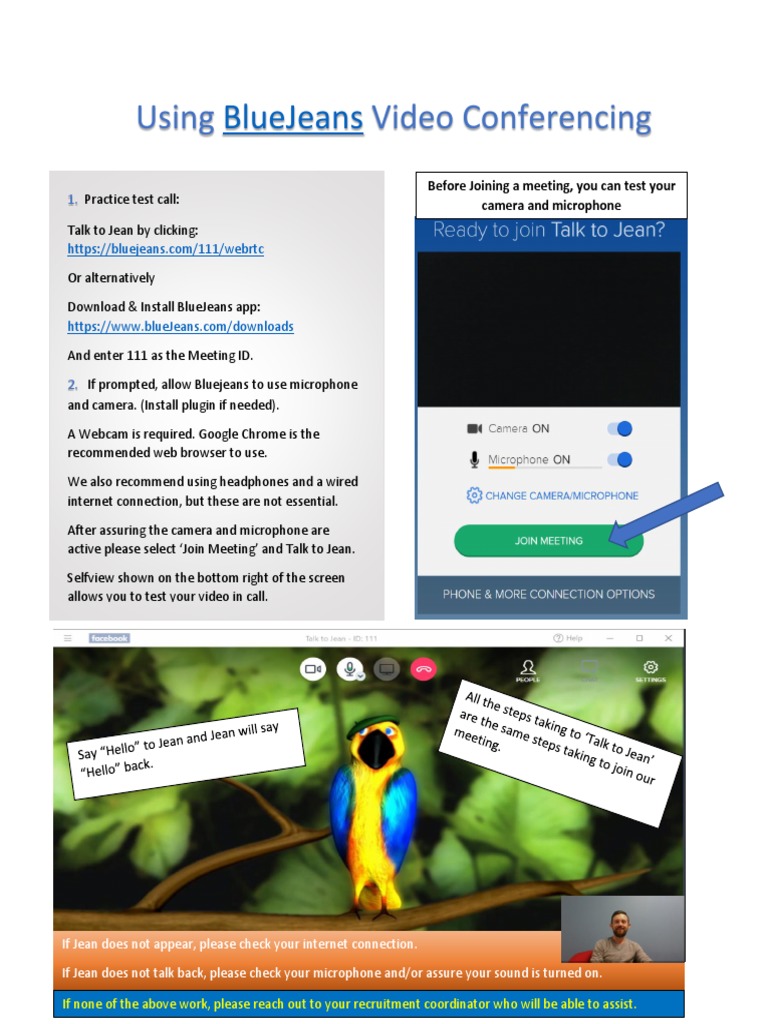 Bluejeans Troubleshooting PDF PDF