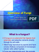 Fungi: Structure, Nutrition, Reproduction