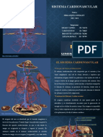 Act.5.el Sistema Cardiovascular