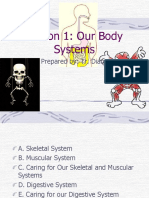 Our body system.pdf