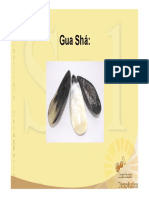 309883094-Gua-Sha.pdf